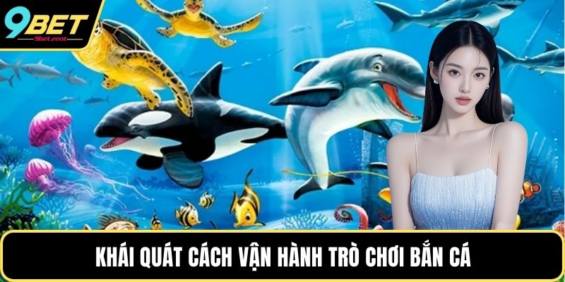 Khái quát cách vận hành trò chơi bắn cá