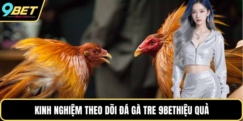 Kinh nghiệm theo dõi đá gà tre 9bethiệu quả