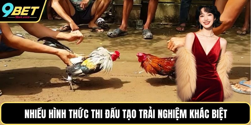 Nhiều hình thức thi đấu tạo trải nghiệm khác biệt